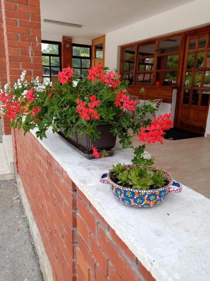 Apartman Dunja I Milos Mokra Gora Buitenkant foto