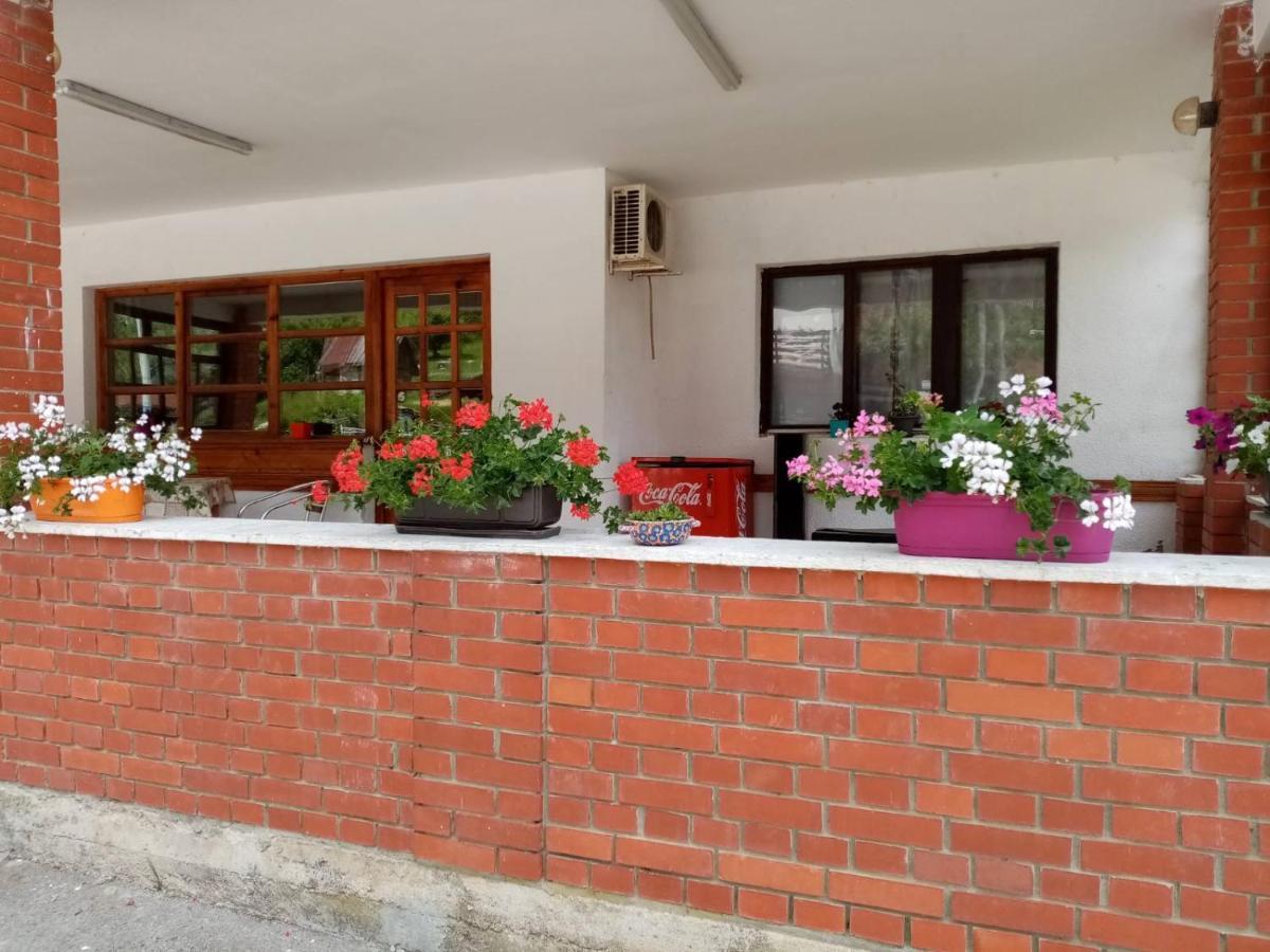 Apartman Dunja I Milos Mokra Gora Buitenkant foto