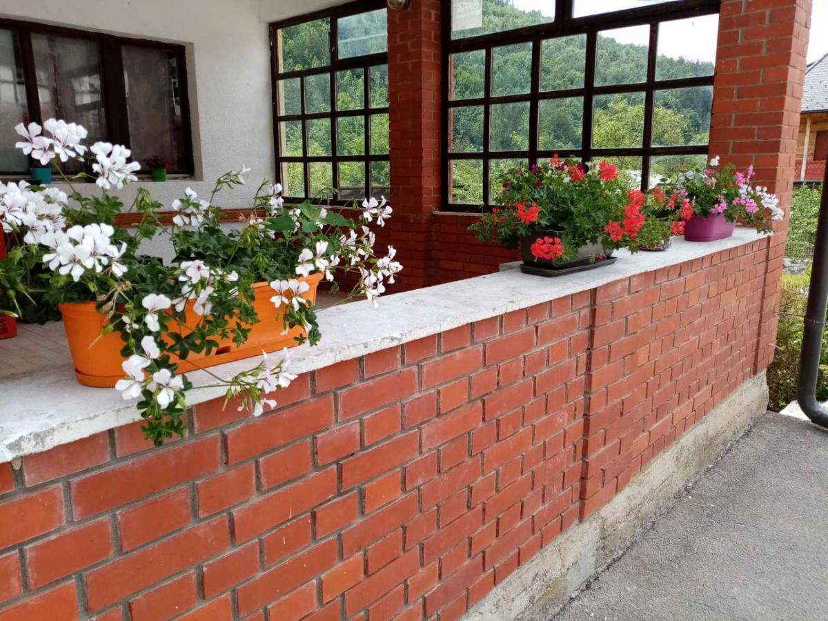 Apartman Dunja I Milos Mokra Gora Buitenkant foto