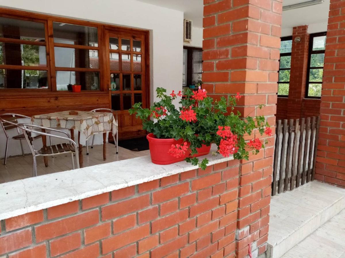 Apartman Dunja I Milos Mokra Gora Buitenkant foto