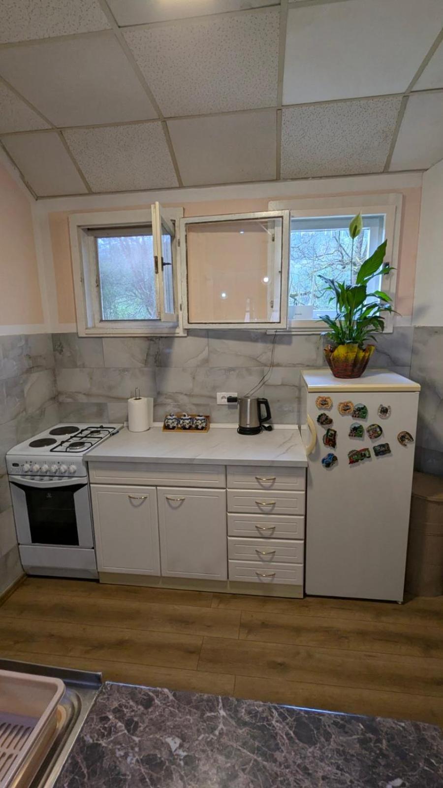 Apartman Dunja I Milos Mokra Gora Buitenkant foto
